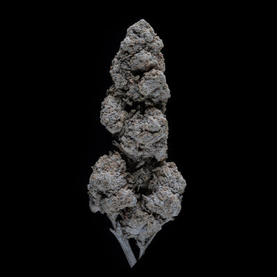 Flower | 'Cannatonic 25' | THCA | Coated |