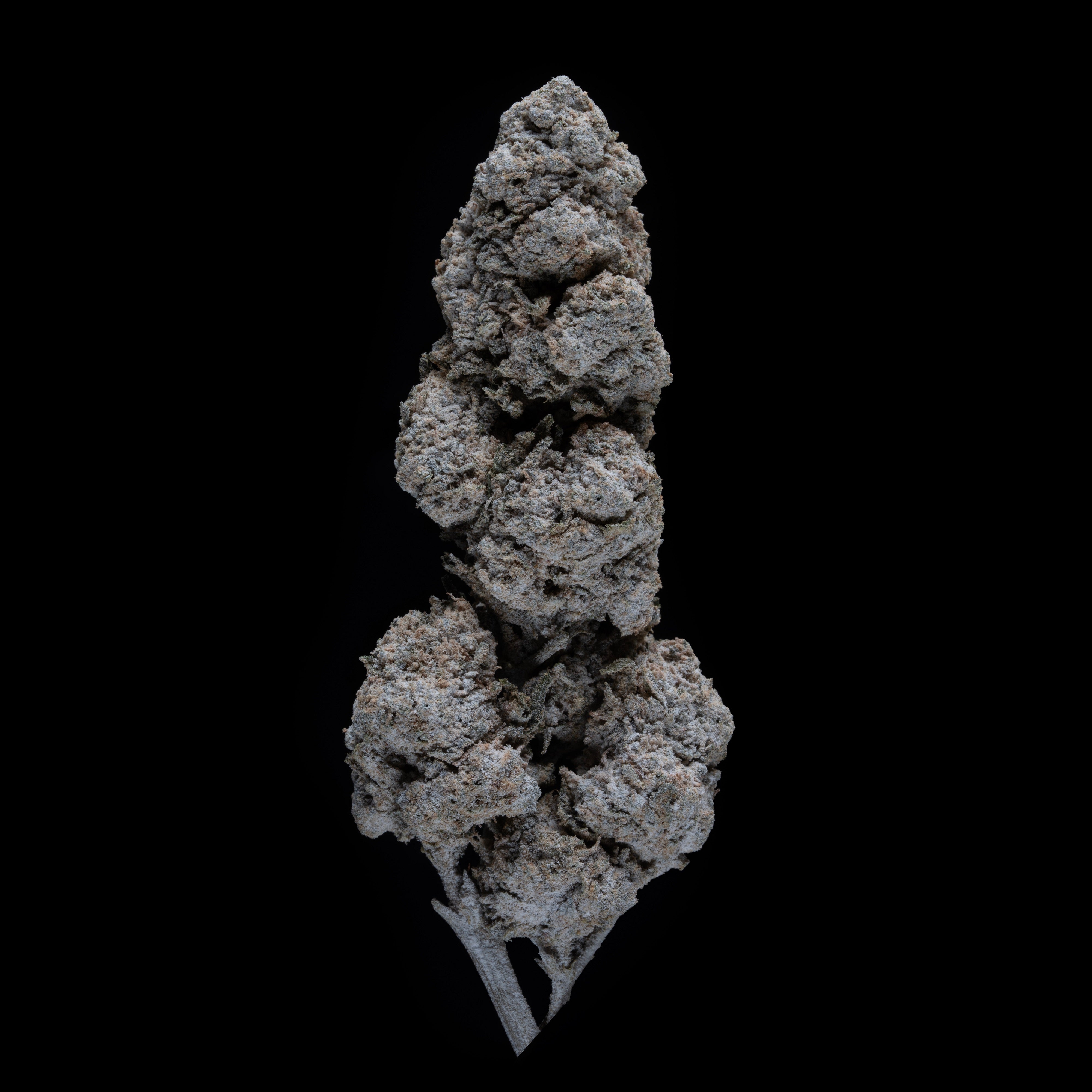 Flower | 'Cannatonic 25' | THCA | Coated |