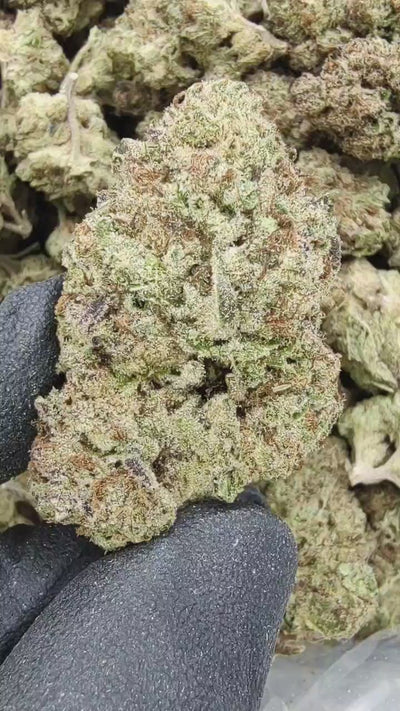 Flower | 'High Octane 34' | THCA | 100g Sample