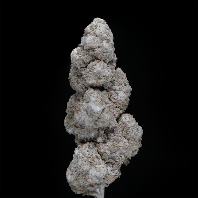 Flower | 'Strawberry Kush 25' | THCA | Coated | 100g Sample